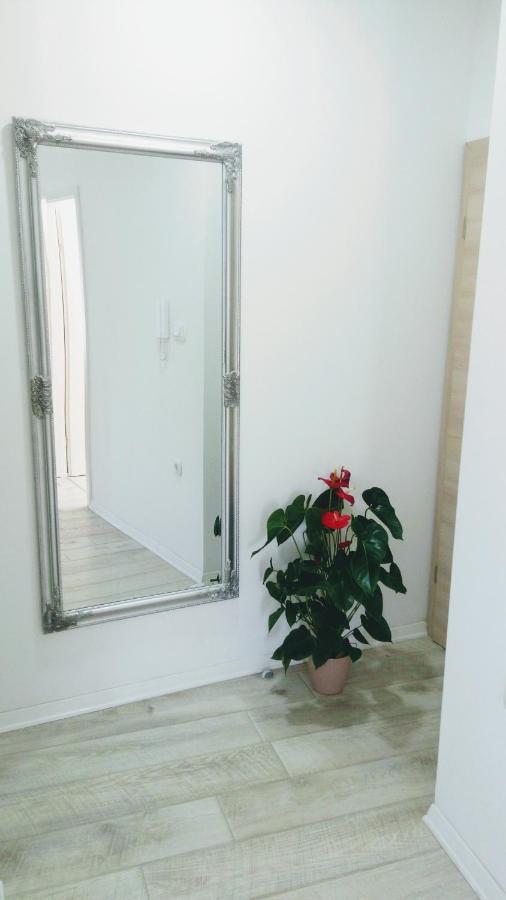 מאקרסקה Apartment Davorka מראה חיצוני תמונה